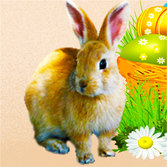 meniu-oferta-de-paste